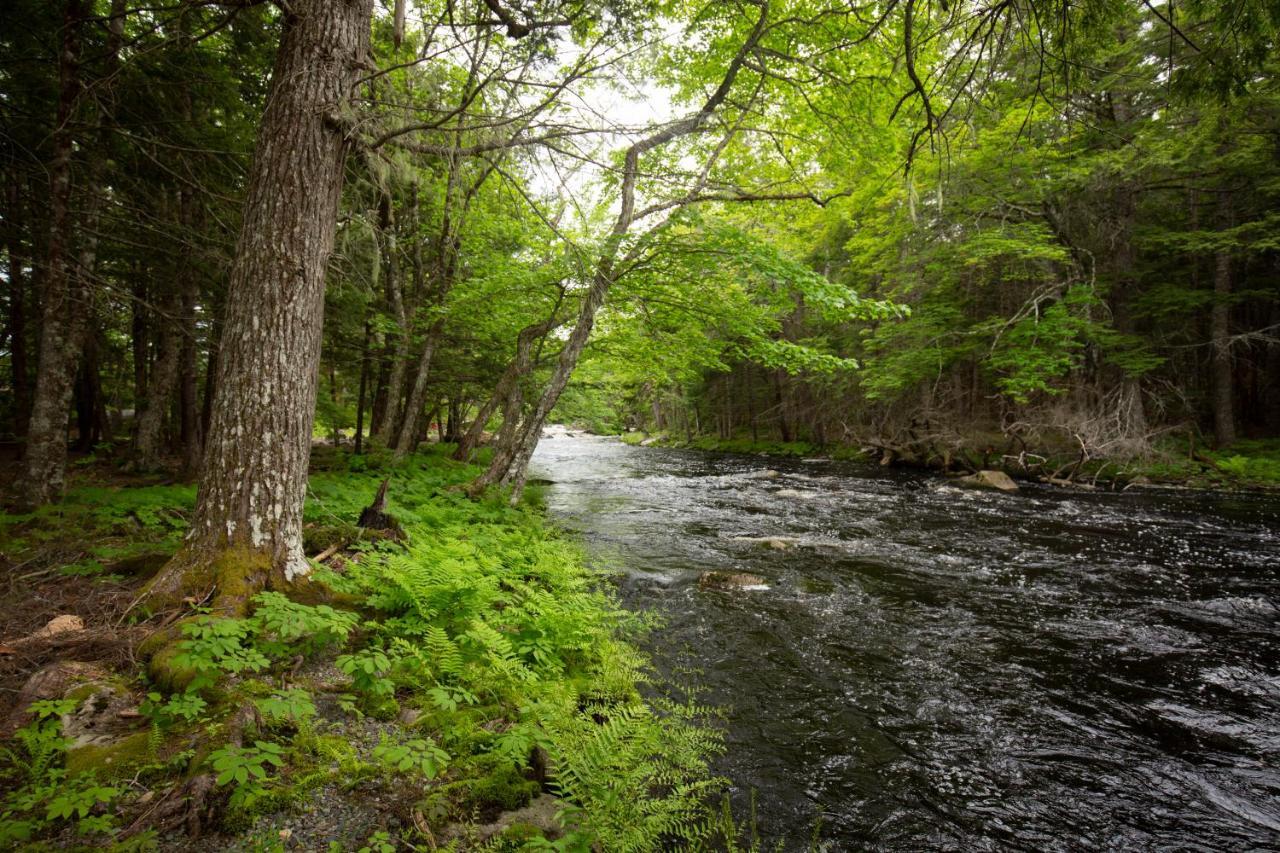 Mersey River Chalets A Nature Retreat Caledonia Exterior photo