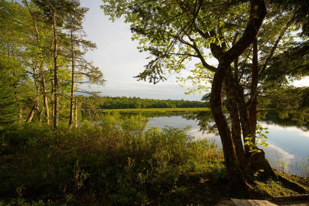Mersey River Chalets A Nature Retreat Caledonia Exterior photo