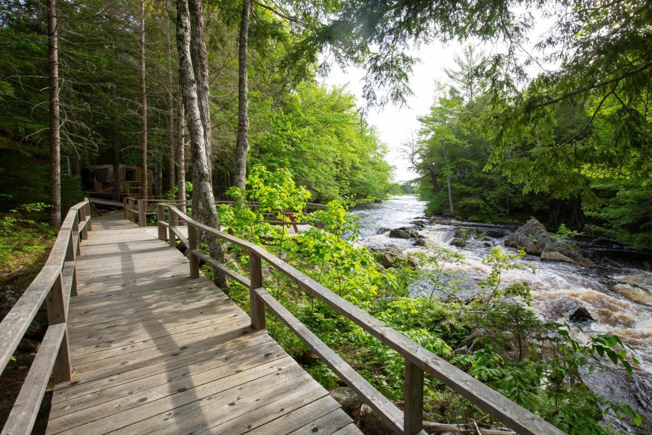 Mersey River Chalets A Nature Retreat Caledonia Exterior photo