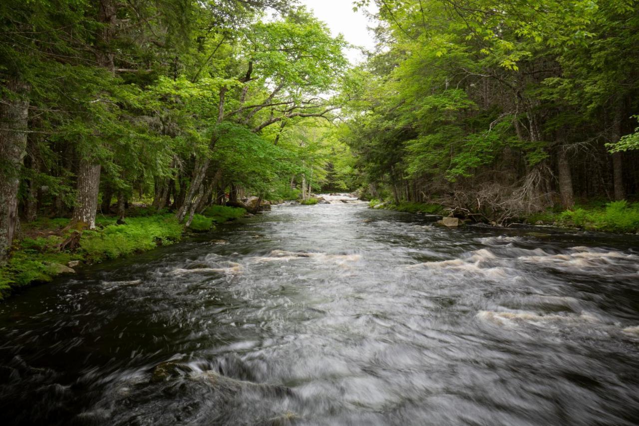 Mersey River Chalets A Nature Retreat Caledonia Exterior photo