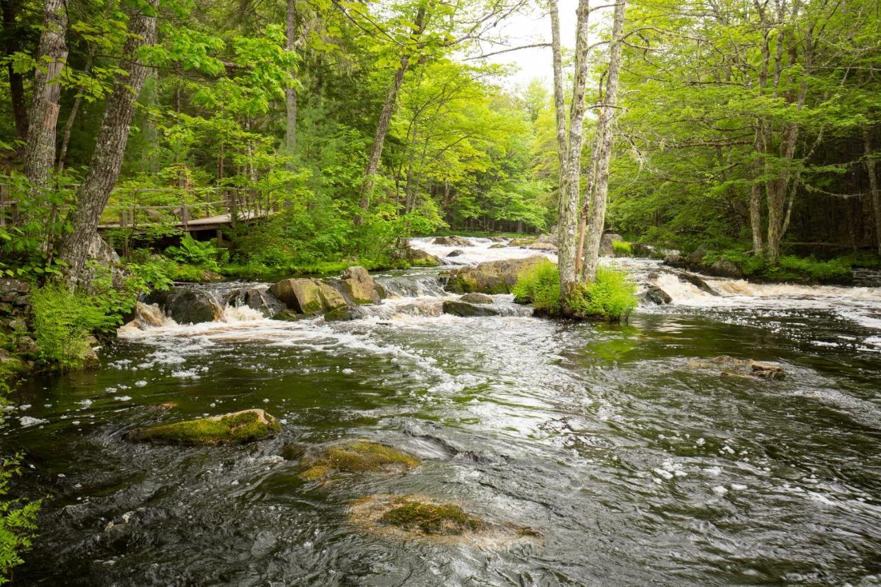 Mersey River Chalets A Nature Retreat Caledonia Exterior photo