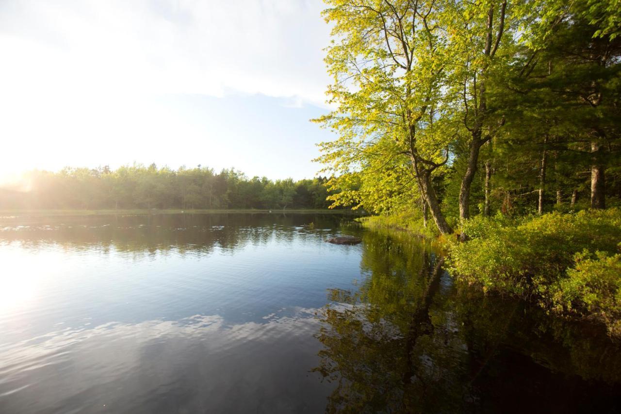 Mersey River Chalets A Nature Retreat Caledonia Exterior photo