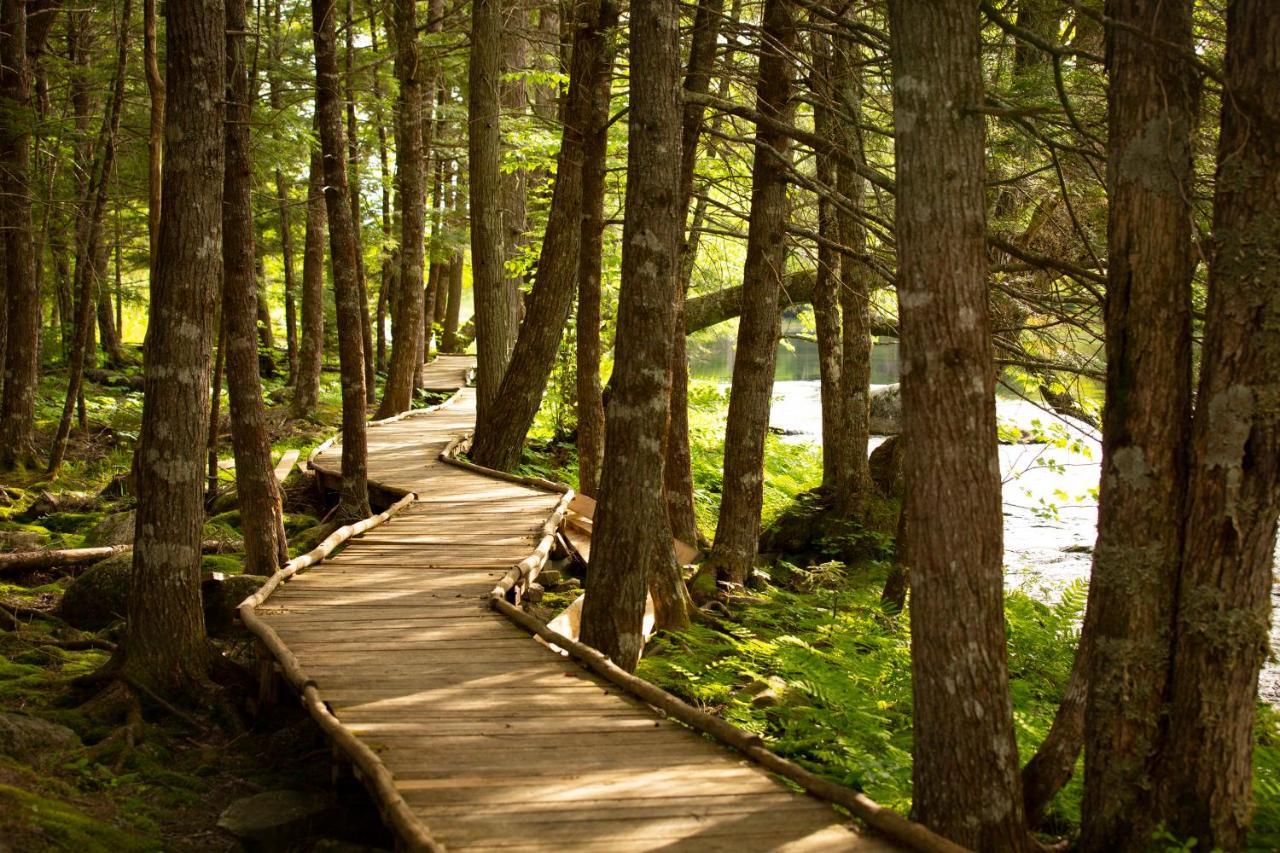 Mersey River Chalets A Nature Retreat Caledonia Exterior photo