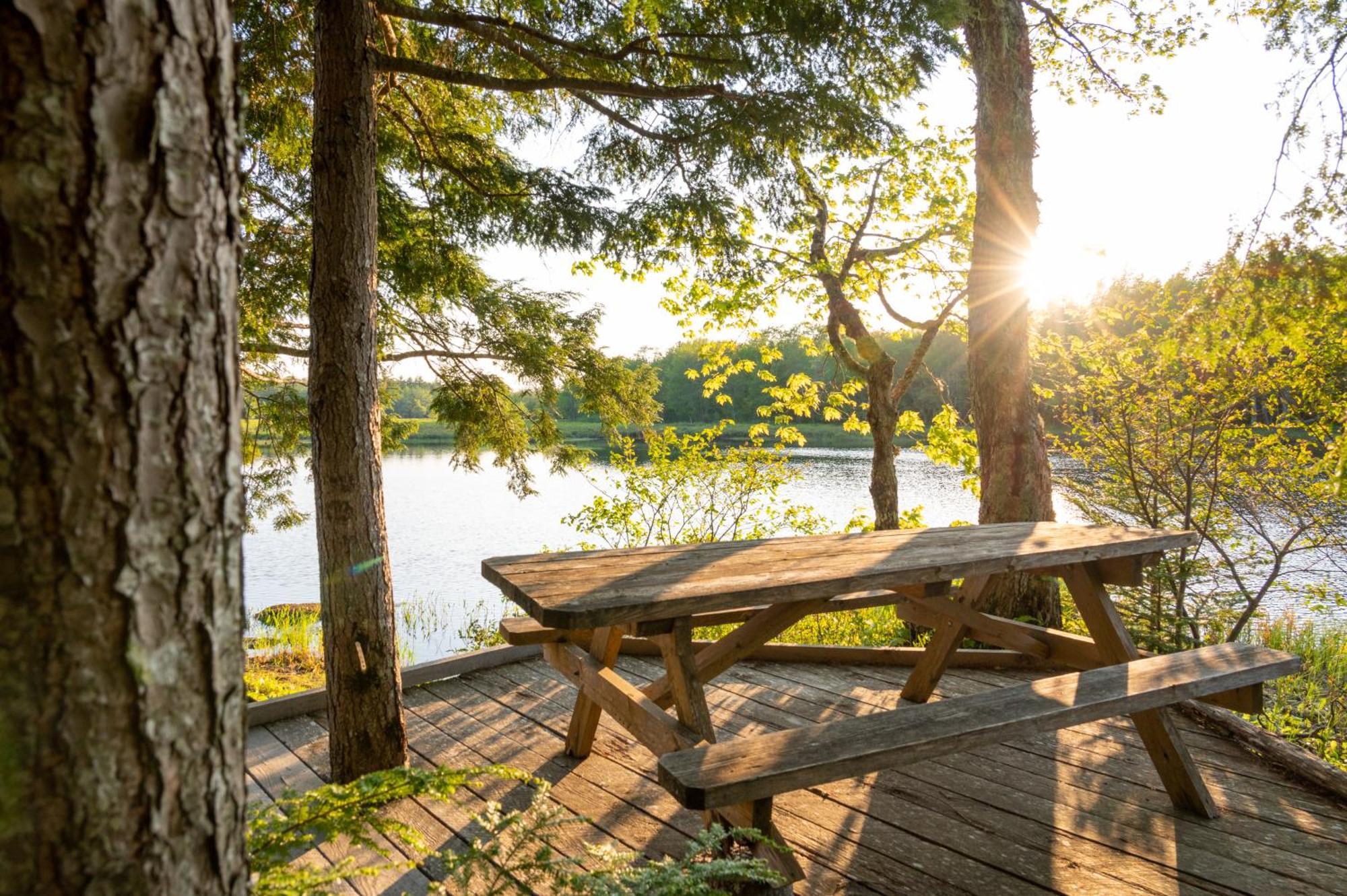 Mersey River Chalets A Nature Retreat Caledonia Exterior photo